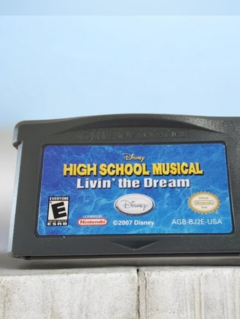 Disney High School Musical Living The Dream Game Boy Advance *TESTED*